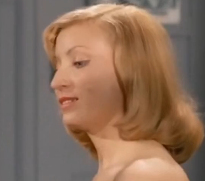 纳粹军妓之女子亲卫队}